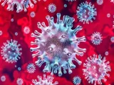 Brasil passa de 150 mil mortes por Covid-19